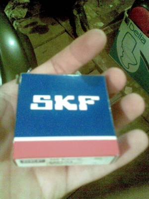 010.jpg