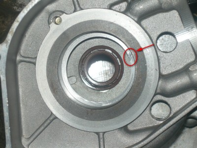 P1080074.JPG