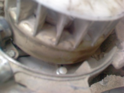 IMG014.jpg