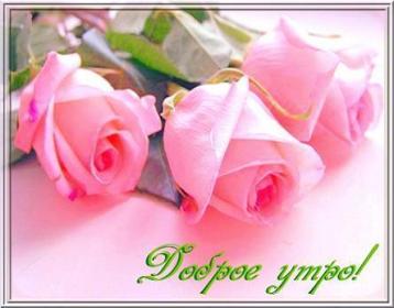 3 розы.jpg