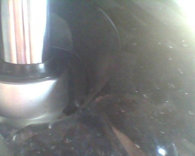 IMG0351A.jpg