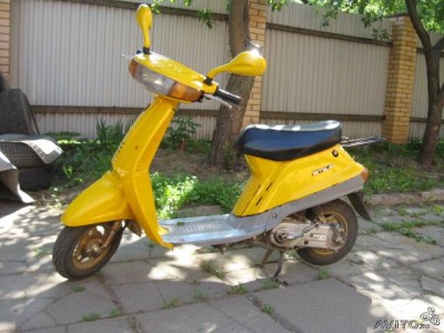 53189943.jpg