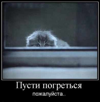 Пусти погреться..jpg