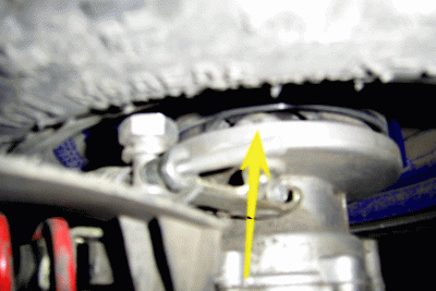 PIC_0075.gif