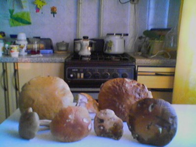 060815_204634.jpg