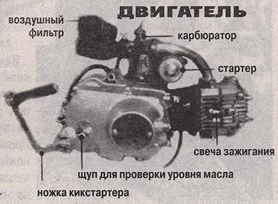 x_33d5558f.jpg