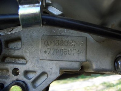 97982988.jpg