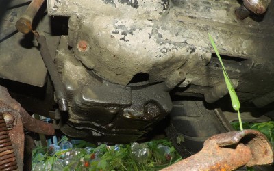 DSCN6077.jpg