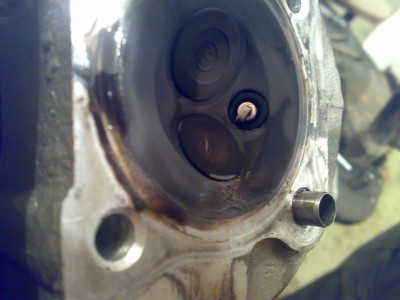 06052010145.jpg