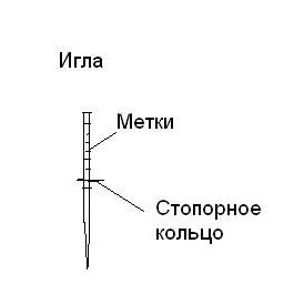 .JPG