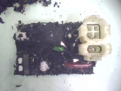 IMG0123A.jpg
